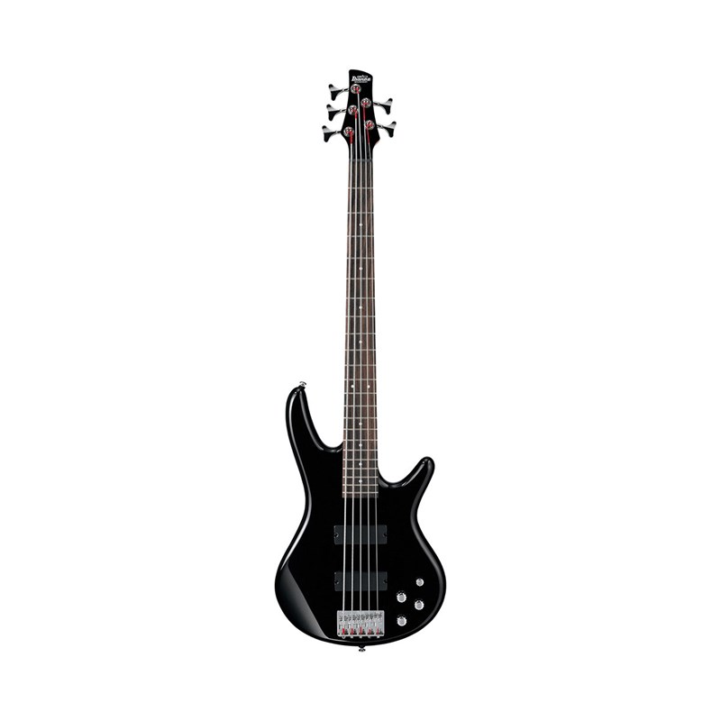 Ibanez GSR205 5-String Bass Guitar